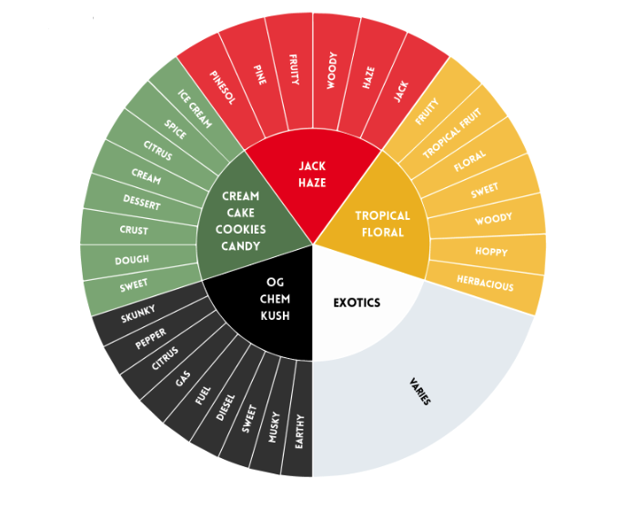 Cannabis Aroma Wheel - Aroma Terpene Family