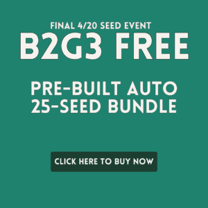 Commercial Heavy Yield Auto Pack โ 25 Seeds