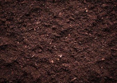 What Soil Should I Use for Planting Autoflower Seeds?