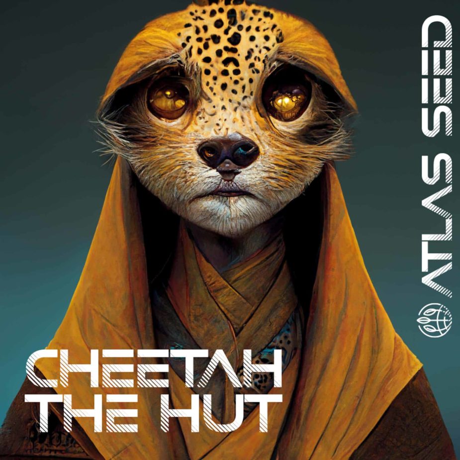 Cheetah the Hut - Retail Cannabis Seed Pack - Image 2