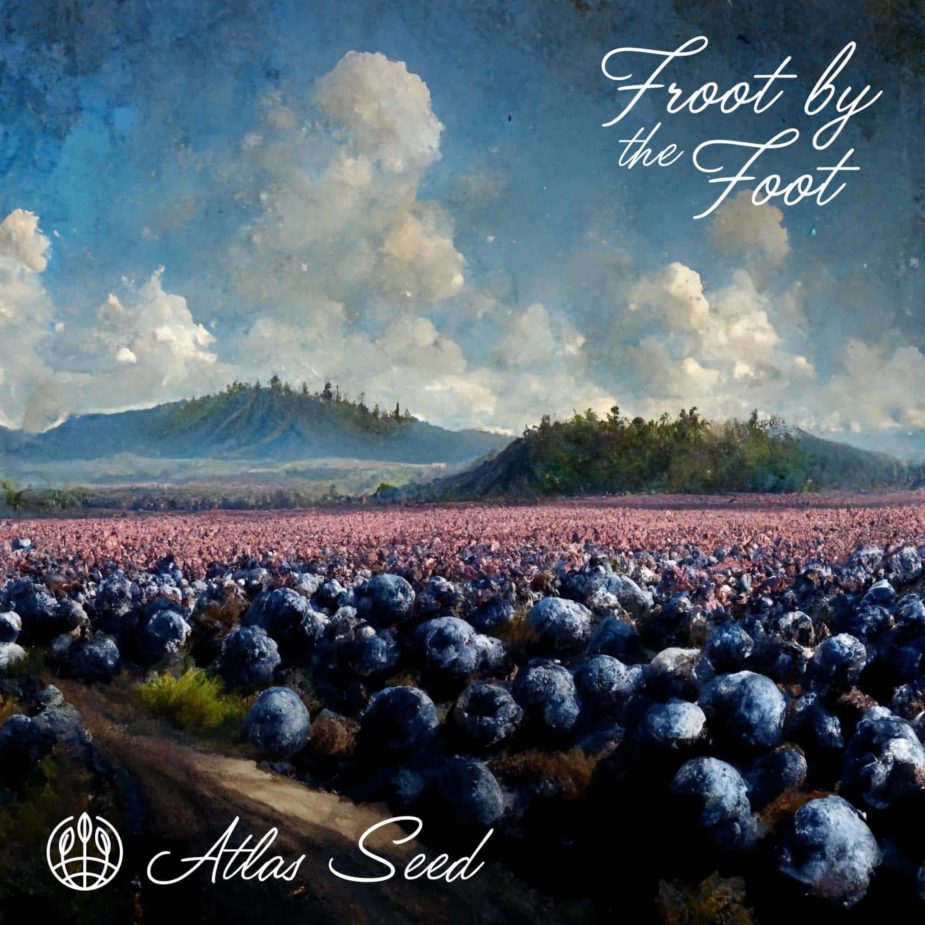 Froot by the Foot Auto - Retail Cannabis Seed Pack - Image 2