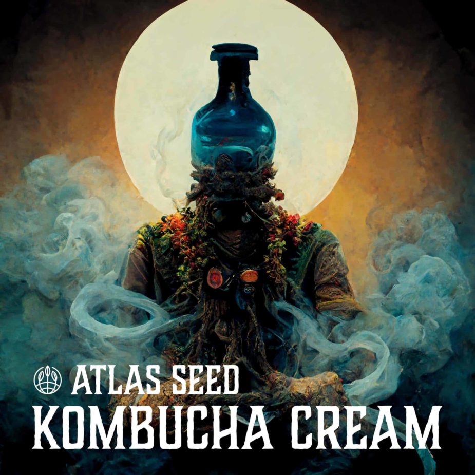 Kombucha Cream - Retail Cannabis Seed Pack - Image 2