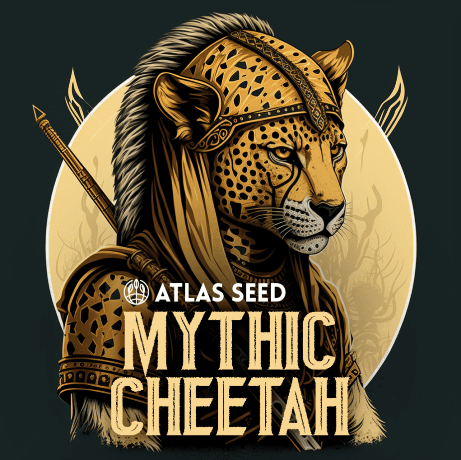 Mythic Cheetah - Retail Cannabis Seed Pack - Image 2