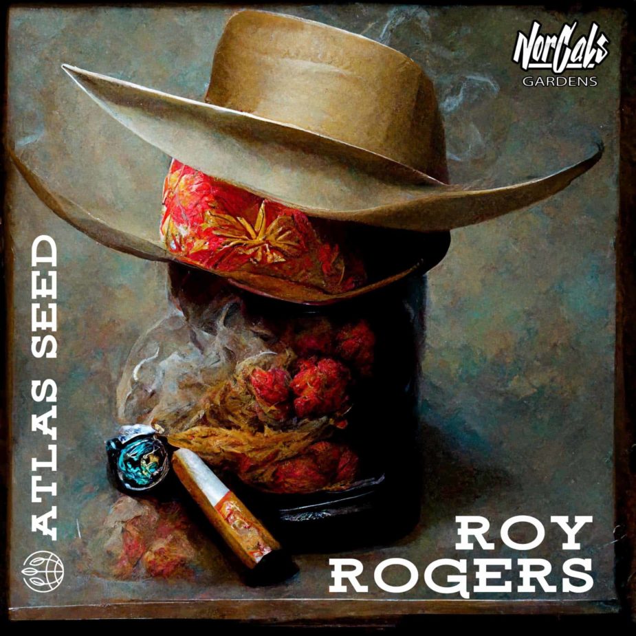 Roy Rogers - Retail Cannabis Seed Pack - Image 2