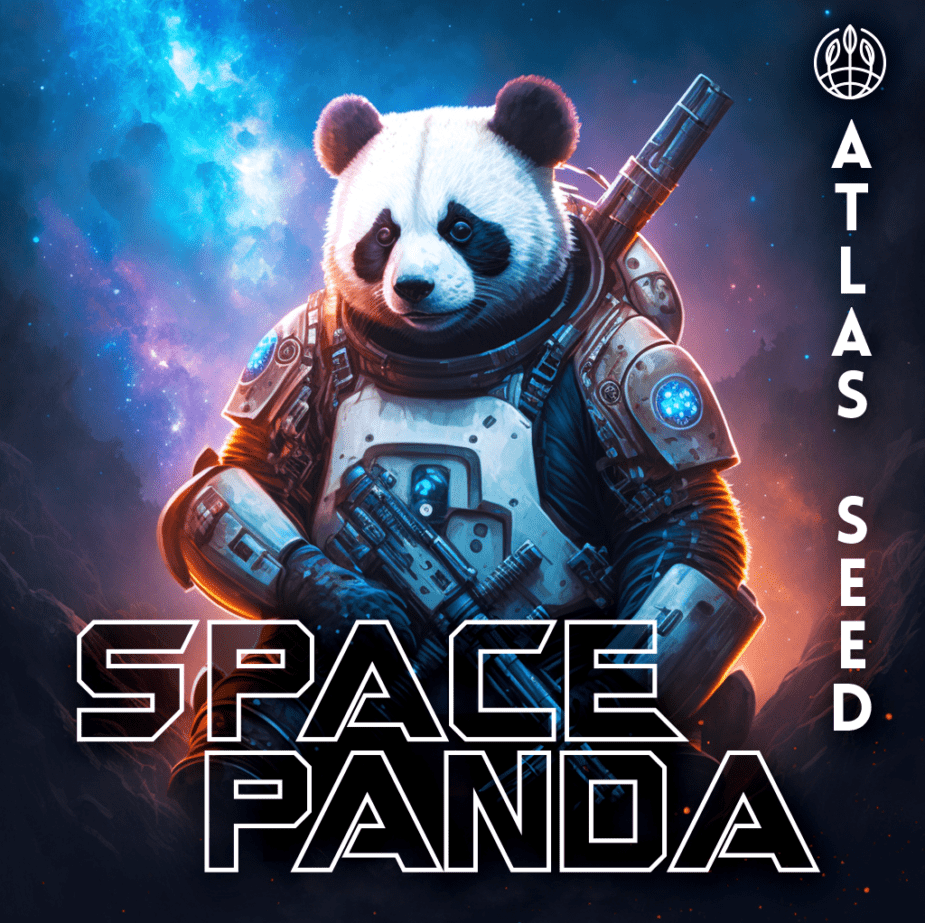 Space Panda - Retail Cannabis Seed Pack - Image 2