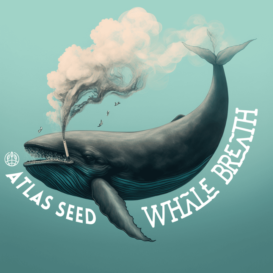 Whale Breath - Retail Cannabis Seed Pack - Image 2