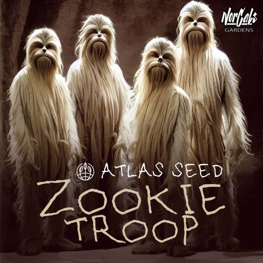 Zookie Troop - Retail Cannabis Seed Pack - Image 2