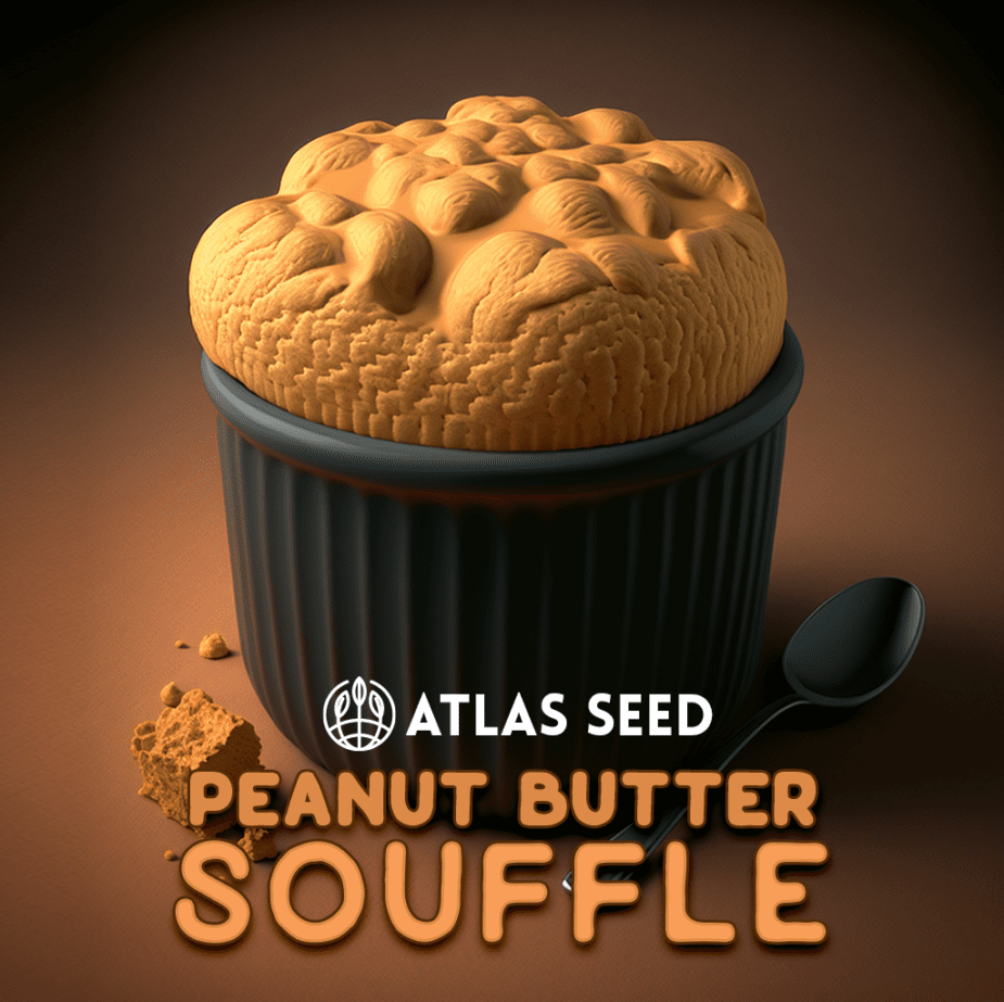 Peanut Butter Souffle - Retail Cannabis Seed Pack - Image 2