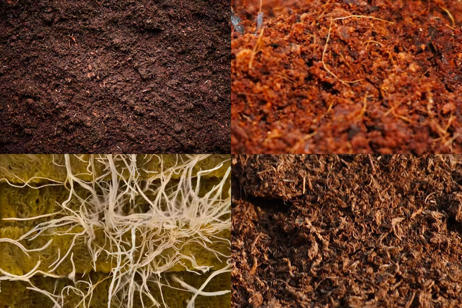 Choosing the Right Planting Medium for Cannabis: Native Soil, Rockwool, Coco Coir, & Peat Moss
