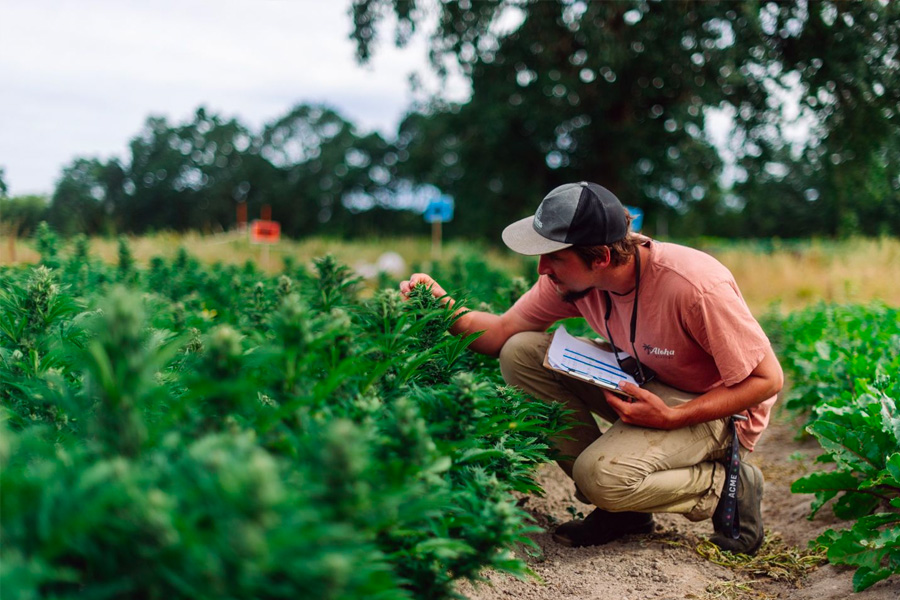 Transplanting Checklist: Preparation for Successful Planting