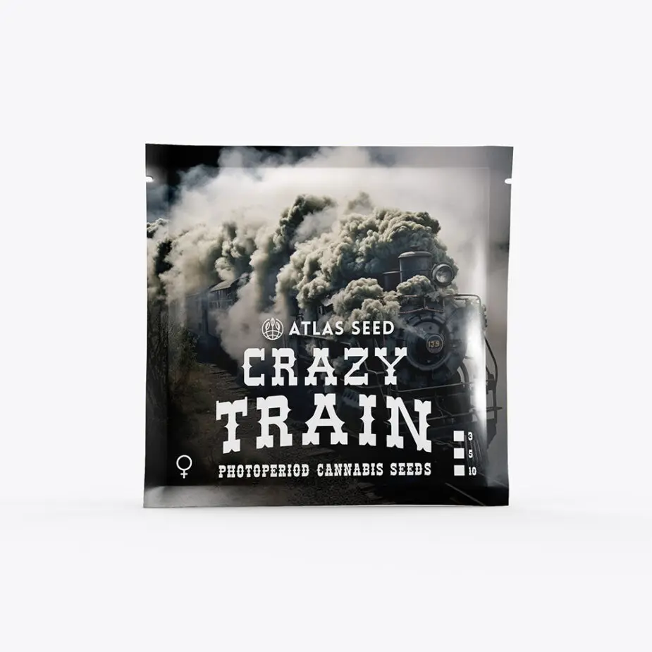 Crazy Train - Retail Cannabis Seed Pack - Image 2