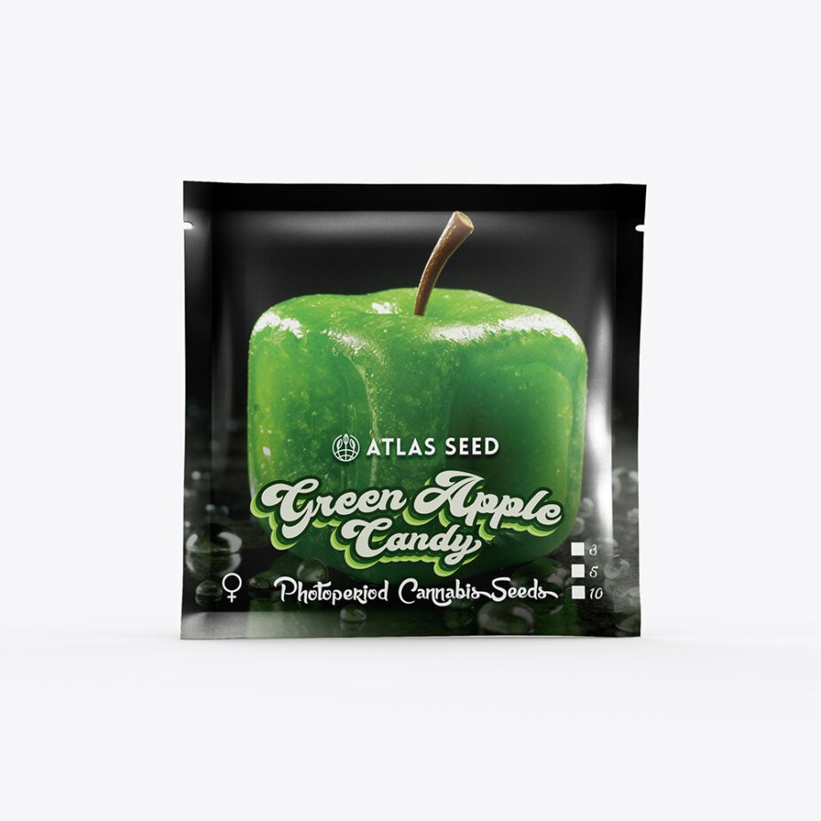 Green Apple Candy - Retail Cannabis Seed Pack - Image 2