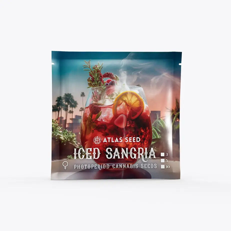 Iced Sangria - Retail Cannabis Seed Pack - Image 2