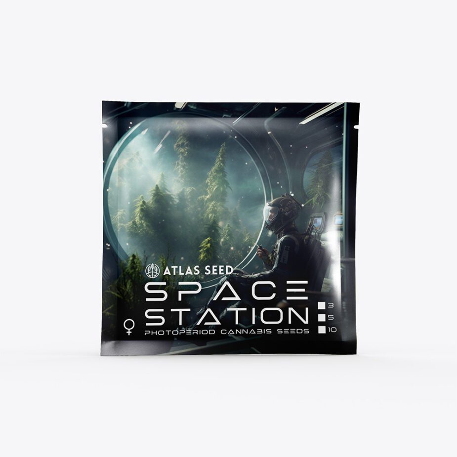 Space Station - Retail Cannabis Seed Pack - Image 2