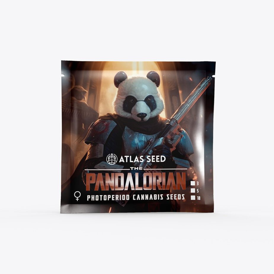 The Pandalorian - Retail Cannabis Seed Pack - Image 2