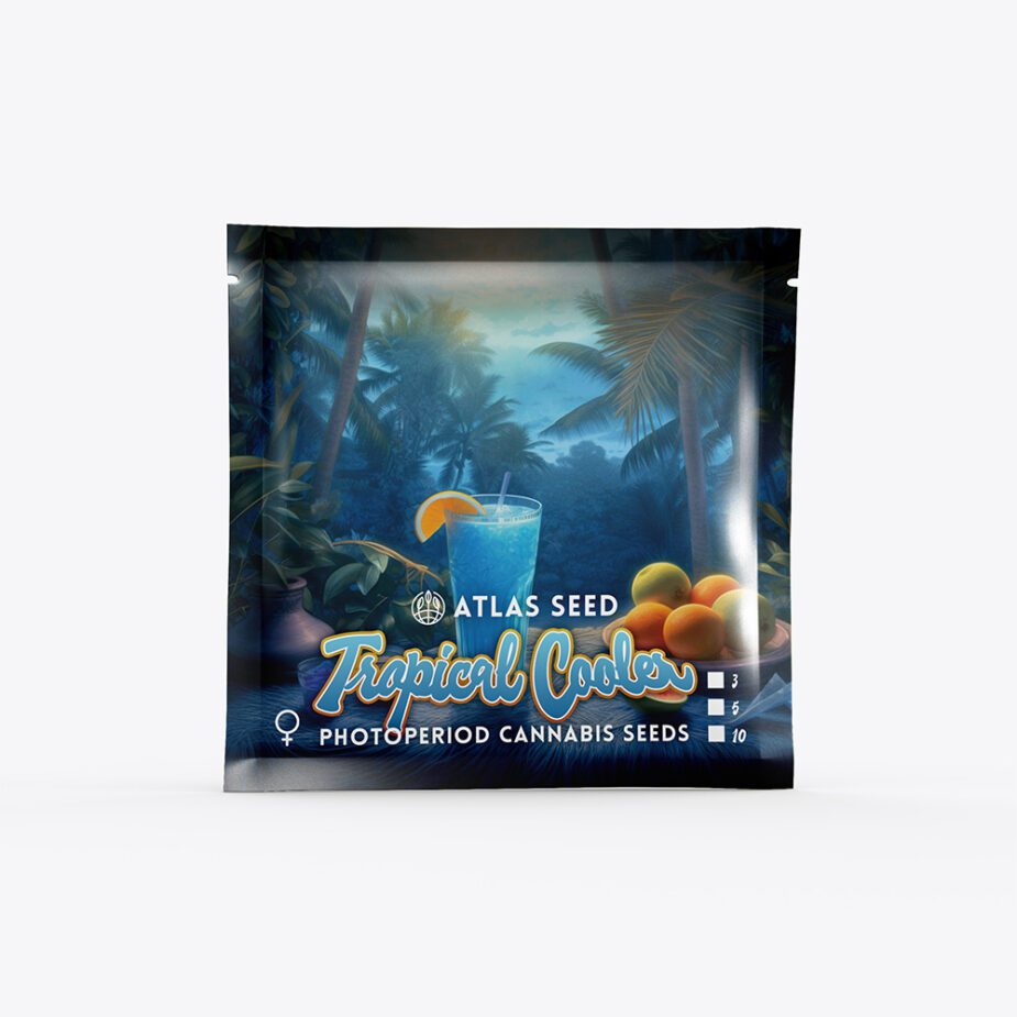 Tropical Cooler - Retail Cannabis Seed Pack - Image 2