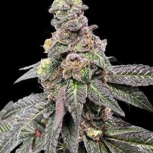 Banana Nut Bread - Seed Pack