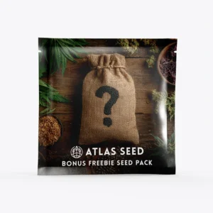 Mystery 5-Seed Pack - Photoperiod