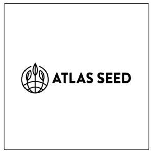 Cherry Kush Auto | Autoflower Fem | Atlas R&D Line | 5 pack