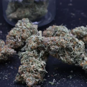 Mendo Frost Autoâ„¢ 5 Packs
